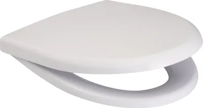 A white toilet seat is shown from a diagonal angle against a white background.