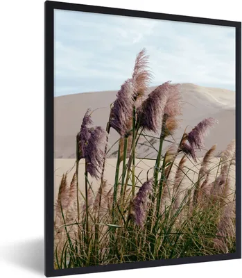 Produktbild von MuchoWow® Gerahmtes Poster Pampasgras - Sand - Pflanzen - Düne 60x80 cm - Poster mit Schwarzem Bilderrahmen Wandposter Rahmen Foto Bilder - Premium - Wanddeko Wohnzimmer