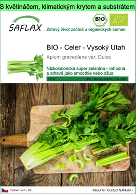 Obrázek produktu pro SAFLAX Garden to go - BIO - Celer - Vysoký Utah - Apium graveolens var. Dulce - 500 Semena - S květináčem, klimatickou poklicí a pěstebním substrátem