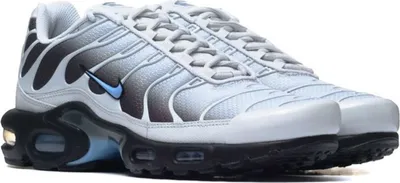 Produktbild von Schuhe Nike Air Max DM0032015