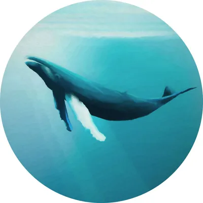 Productafbeelding van Sanders & Sanders zelfklevende behangcirkel walvis turquoise Ø 125 cm