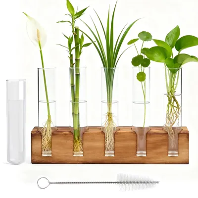 Produktbild von Hydroponische Vase - Reagenzglaskolben-Vase - Holzständer - 5 Reagenzglaskolben - Transparent