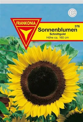 Produktbild von Sonnenblumen Schnittgold
