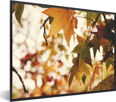 Produktbild von MuchoWow® Gerahmtes Poster Natur - Herbstlaub - Rustikal 40x30 cm - Poster mit Schwarzem Bilderrahmen Wandposter Rahmen Foto Bilder - Kunstposter - Wanddekorationen