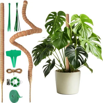 Productafbeelding van Monstera Klimsteun 120 cm, Set van 2, Flexibele Mossteun van Kokosvezel, voor Binnenklimplanten