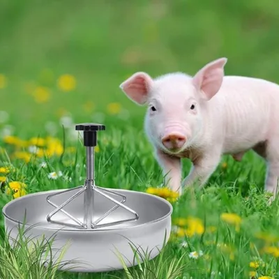 Futterschüssel für Schweine, Futtertrog für Tiere, Edelstahl-Schüssel mit Rille für Schweine, Hunde und Katzen