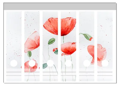 Produktbild von Wallario Ordnerrücken Sticker, selbstklebend für breite Ordner, 6 Stück, Motiv Mohnblumen in Aquarell