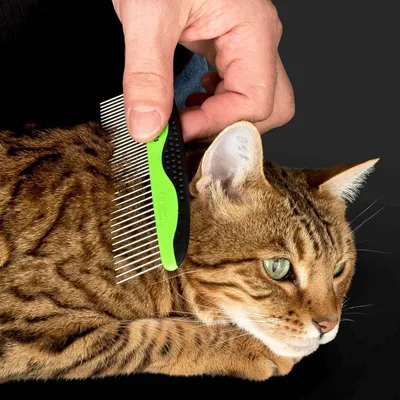 Productafbeelding van Famanu Verzorgingsset voor huisdieren - Geschikt voor honden en katten, gemakkelijk schoon te maken
