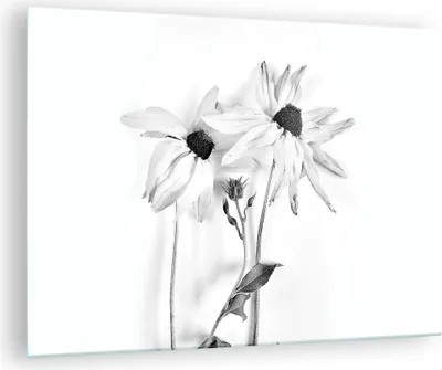 Produktbild von Bilder auf glas - Einteilig - Verwelkt Blumen Monochrom - 70x50cm - Glasbilder - Wandbilder - Bilder - zum Aufhängen bereit - Wanddekoration aus Glas - Glas Bilder - Wandbild auf Glas - GAA70x50-4737