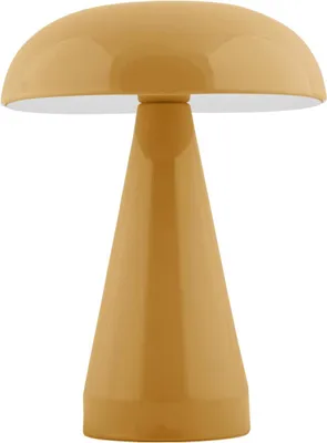 A studio shot of a table lamp.