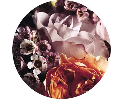 Produktbild von Glasbild Baroque Flowers I Ø 50 cm