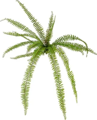 Produktbild von artplants.de Künstlicher Schwertfarn NAKRIZ auf Steckstab, grün, 105cm - Kunst Farnpflanze