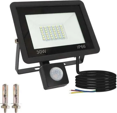 Productafbeelding van LED-spot met Bewegingsmelder voor Buiten - 30W Schijnwerper