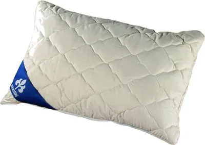 Produktbild von Irisette Hirsekissen Größe 40 x 80 cm