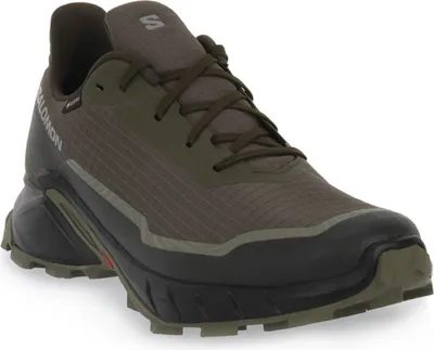 Produktbild von Salomon Schuhe Alphacross 5 Gtx, 473103