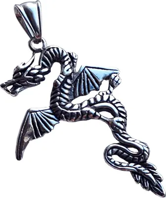 Produktbild von Edelstahl Anhänger aus 316L Drache Schlangenförmig