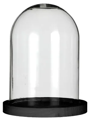 Produktbild von Glasglocke mit schwarzem Holzsockel Ø12cm H.16cm (1 Stück) [IFS-29823]
