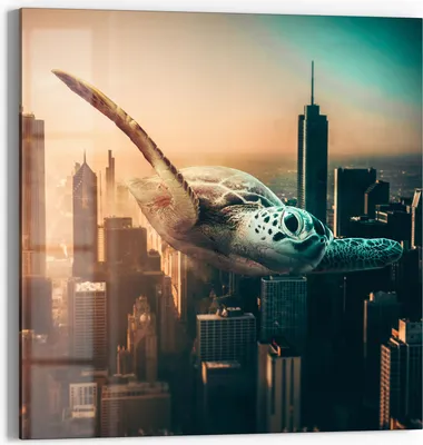 Produktbild von DEQOART Glasbild Echtglas 30x30 cm 'Stadthimmelschwimmer' Wandbild Bild modern Deko