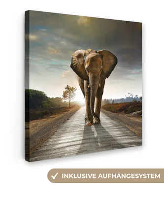 Obrázek produktu pro OneMillionCanvasses® - Obraz na plátně - Slon - Ulice - Zvířata - Západ slunce - Krajina, nástěnná malba, nástěnné dekorace obrazy obývací pokoj, 50x50cm