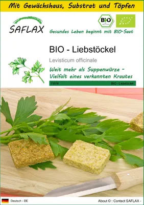 Produktbild von SAFLAX Anzucht Set - BIO - Liebstöckel - Levisticum officinale - 100 Samen - Mit Mini-Gewächshaus, Anzuchtsubstrat und 2 Töpfen