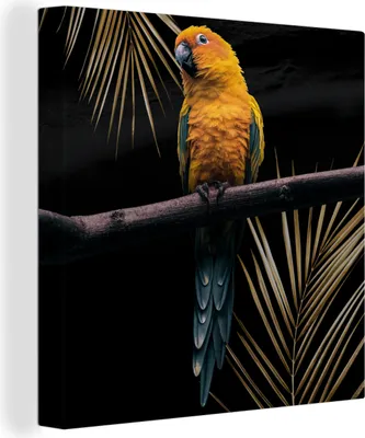 Produktbild von MuchoWow® - Leinwandbilder - Vogel - Papagei - Zweig - Farn, Wandbild, Wanddeko Bilder Wohnzimmer, 20x20 cm