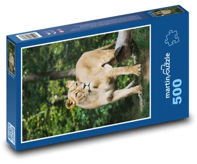 Obrázok produktu pre Puzzle 500 Levice v divočine - martinpuzzle