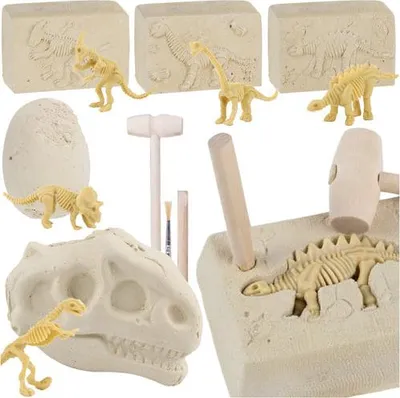 Produktbild von Dinosaurier-Ausgrabungsset für Kinder - 5 Skelette, Werkzeug inklusive