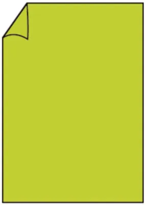 Produktbild von Rössler Papier 220701522 Coloretti Briefbogen - A4, 80g, 10 Blatt, hellgrün