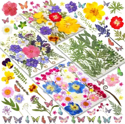 Imagen del producto de Flores secas y prensadas, de colores variados, 120 unidades, 30 variedades, para proyectos creativos de manualidades