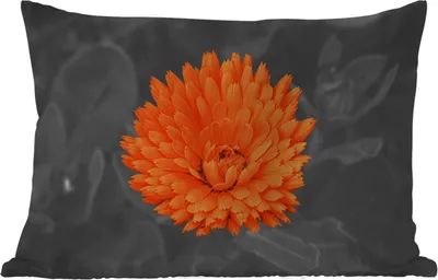 Produktbild von MuchoWow® Outdoor Kissen - Blumen - Orange - Schwarz - Weiß - 60x40 cm - Wetterfest - Lounge Kissen - Zierkissen - Kissen für Innenräume
