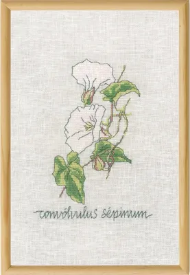 Produktbild von Permin Kreuzstich Stickpackung "Calystegia", Zählmuster, 20x30cm, 70-1832