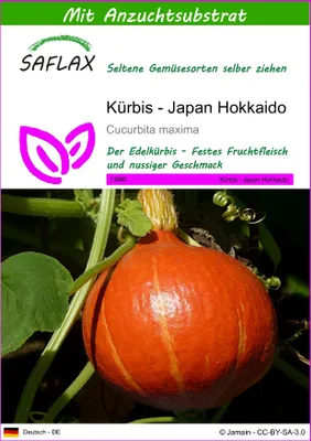 Produktbild von SAFLAX - Kürbis - Japan Hokkaido - 10 Samen - Mit keimfreiem Anzuchtsubstrat - Cucurbita maxima