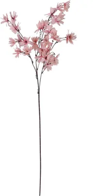 Produktbild von Dekorativer Zweig für Vase, 93 cm