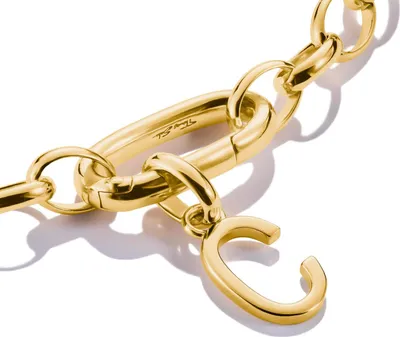 Produktbild von Thomas Sabo Charm Club Connect CC1209-413-39 Charm Anhänger