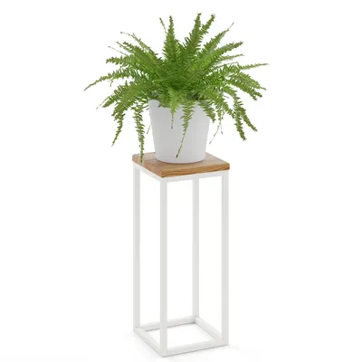 A potted fern sits on a white metal plant stand with a wooden top.