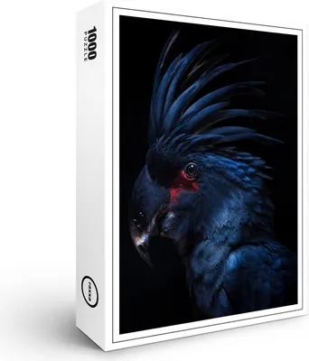 Image de puzzle premium raxxa "Blue Parot", 1000 pièces