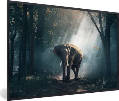 Produktbild von MuchoWow® MuchoWow® Gerahmtes Poster Elefant - Wald - Sonne 90x60 cm - Poster mit zchwarzem Bilderrahmen - Fotorahmen - Foto-Plakat
