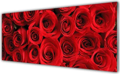 Produktbild von Glasbilder 125x50 Wandbild Druck auf Glas Roses Pflanzen