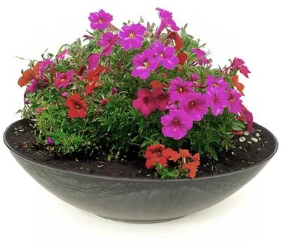 Produktbild von Große Pflanzschale für draussen Dekoschale rund schwarz 45 cm