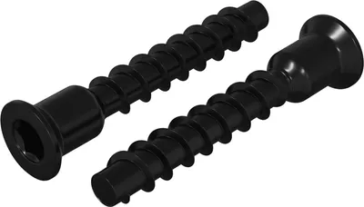 Zdjęcie produktu dla vidaXL Śruba z łbem walcowym 2 szt. Czarny 7 x 40 mm Żelazo