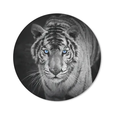 Produktbild von MuchoWow® Mauspad Mousepad Tiere - Tiger - Schwarz und weiß - Augen - Blau 20x20 cm - Mousepads - Maus Mat - Pad - Mausunterlage - Schreibtischmatte