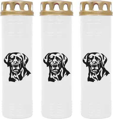 Produktbild von Grabkerze Weiß 3er Pack, Brenndauer: 170 Stunden ( je Kerze ), Motiv: Labrador