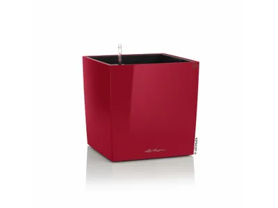 Obrázek produktu pro Lechuza Samozavlažovací květináč Cube Premium 40 cm, červená