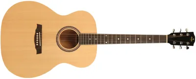 Produktbild von Prodipe Gitarren SA25