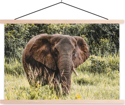 Produktbild von MuchoWow® Textilposter Elefant - Natur - Gras 60x40 cm mit holzfarbenen Rahmen - Bilder