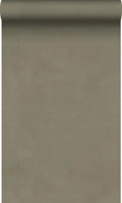 Produktbild von Origin Wallcoverings Tapete Lehmputz Dunkelgrün 50 x 900 cm