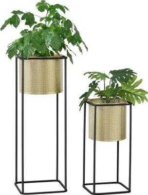 Two plant stands with potted plants on a white background.