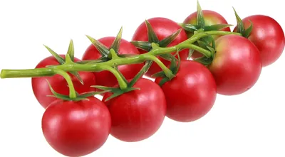 Produktbild von Deko Tomaten Strauchtomaten künstlich an Rispe Ø3,5cm Deko-Obst mediterran