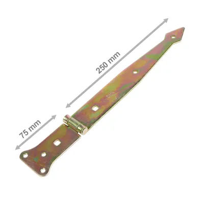 Produktbild von ZBP 250 DMX - Packung mit 1 Stück