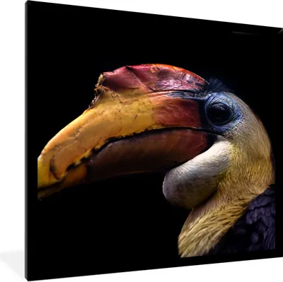 Produktbild von MuchoWow® Gerahmtes Poster Vogel - Schnabel - Schwarz 40x40 cm - Poster mit Schwarzem Bilderrahmen Wandposter Rahmen Foto Bilder - Mit Rahmen - Wanddekoration Schlafzimmer